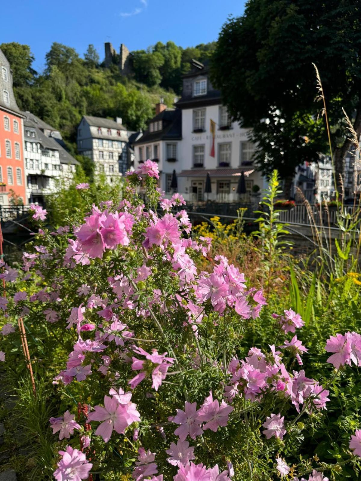 Fewo In Monschau Dış mekan fotoğraf