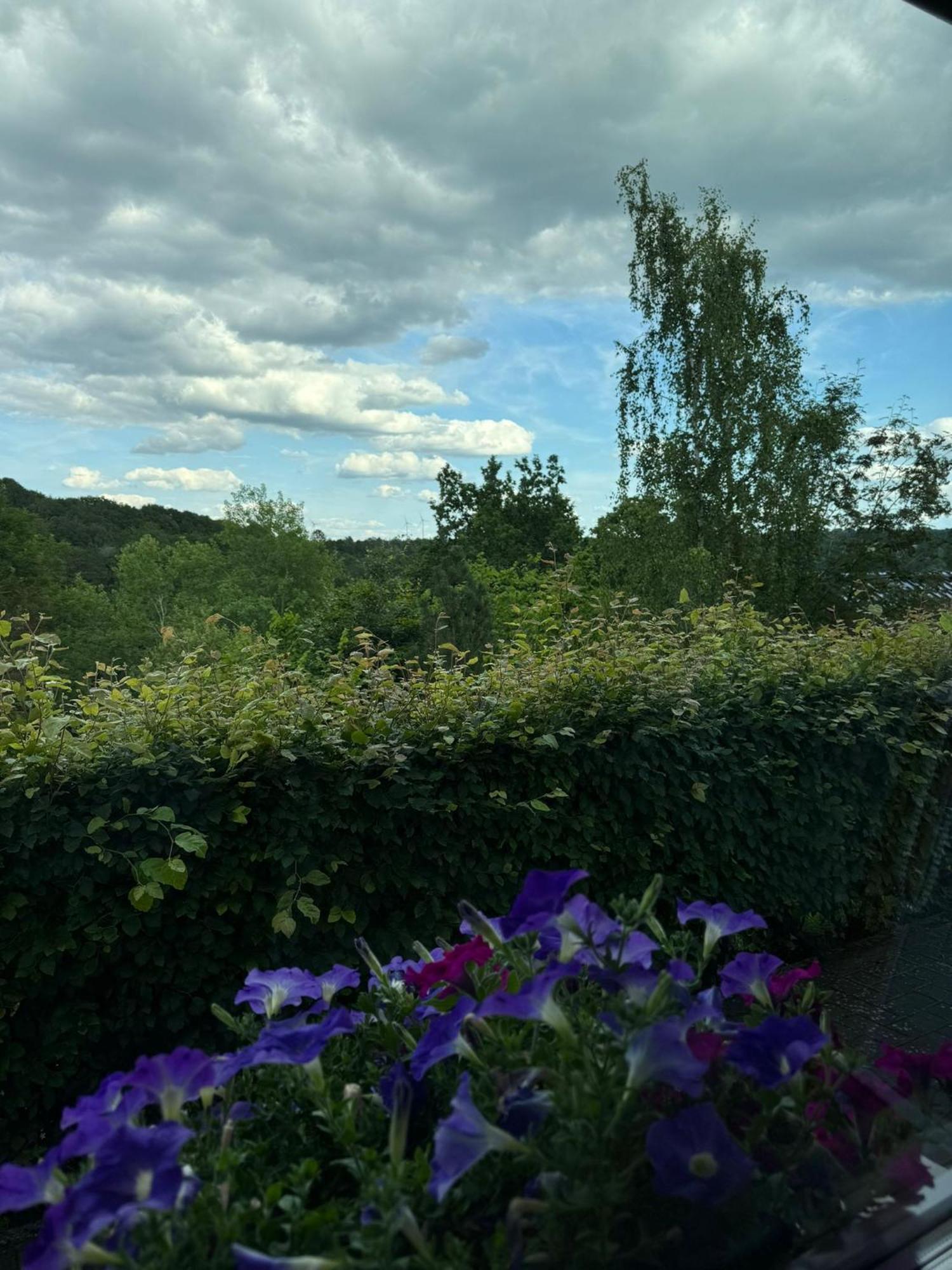 Fewo In Monschau Dış mekan fotoğraf